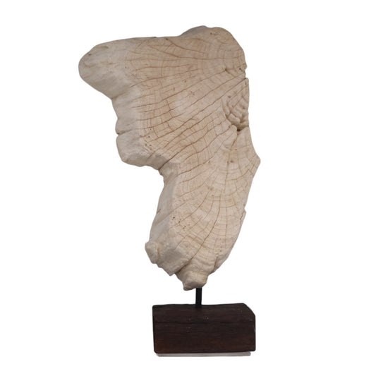 Atlas Driftwood Sculpture on Stand